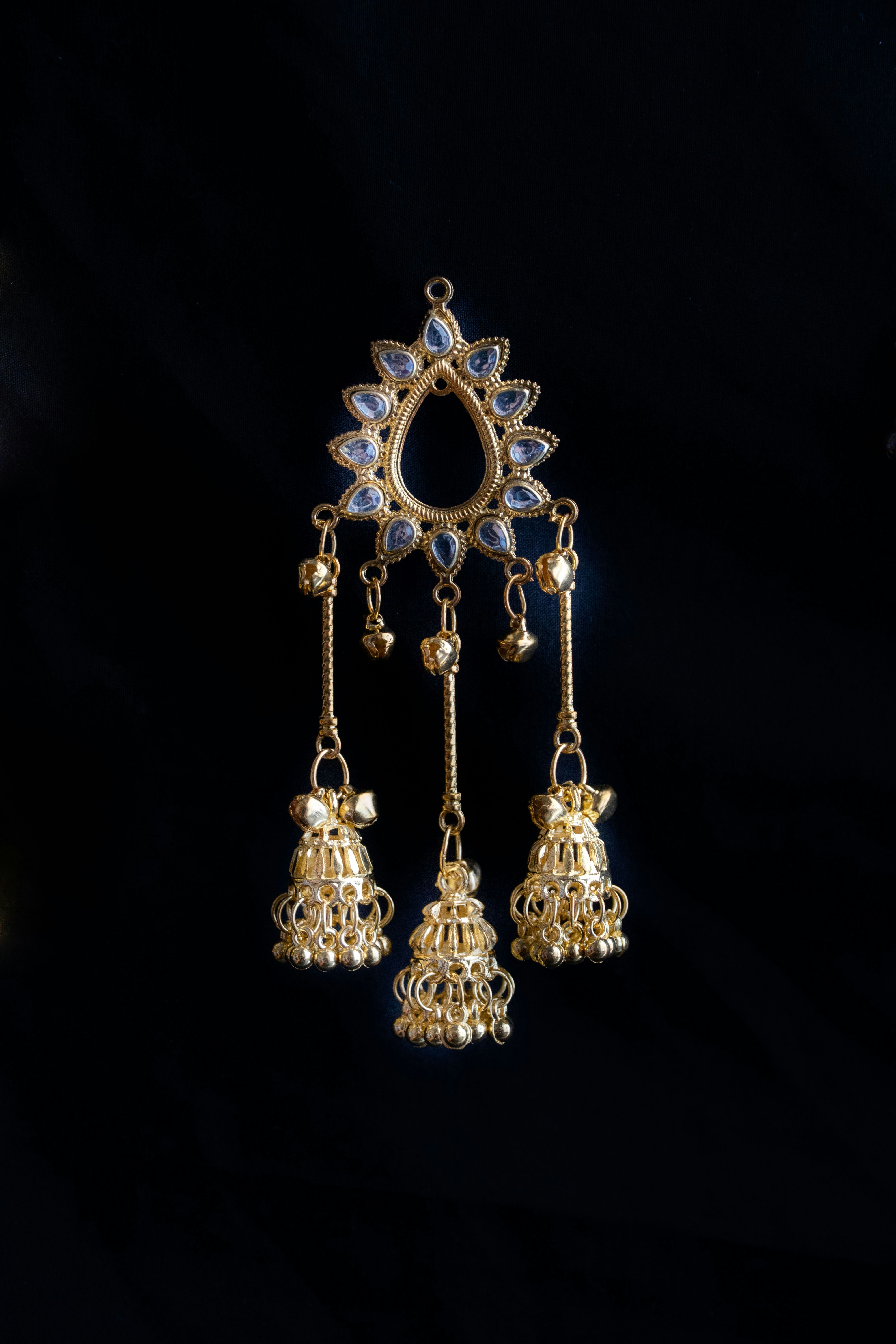 Earrings jewelry